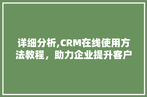 详细分析,CRM在线使用方法教程，助力企业提升客户关系管理效能 百度SEO