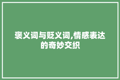 褒义词与贬义词,情感表达的奇妙交织