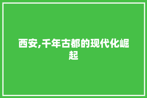 西安,千年古都的现代化崛起