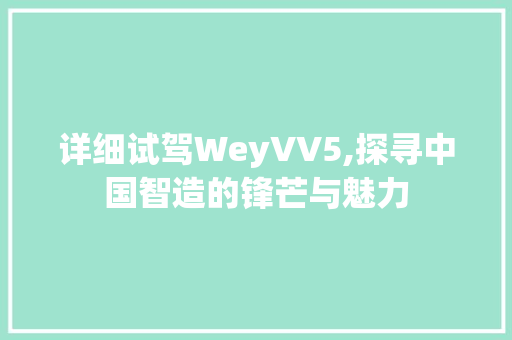 详细试驾WeyVV5,探寻中国智造的锋芒与魅力 必应SEO
