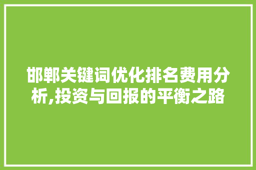 邯郸关键词优化排名费用分析,投资与回报的平衡之路 必应SEO