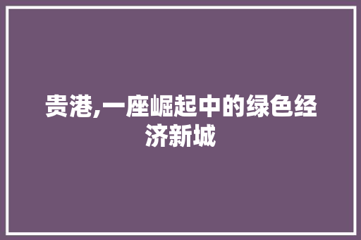 贵港,一座崛起中的绿色经济新城 网站建设公司