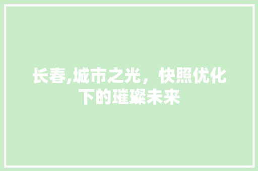 长春,城市之光，快照优化下的璀璨未来 必应SEO