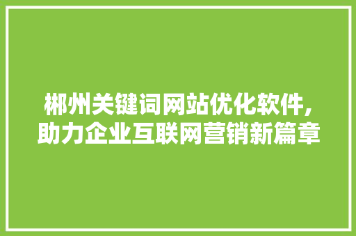 郴州关键词网站优化软件,助力企业互联网营销新篇章 SEO关键词