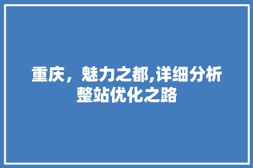 重庆，魅力之都,详细分析整站优化之路 必应SEO