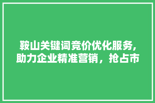 鞍山关键词竞价优化服务,助力企业精准营销，抢占市场先机 SEO关键词