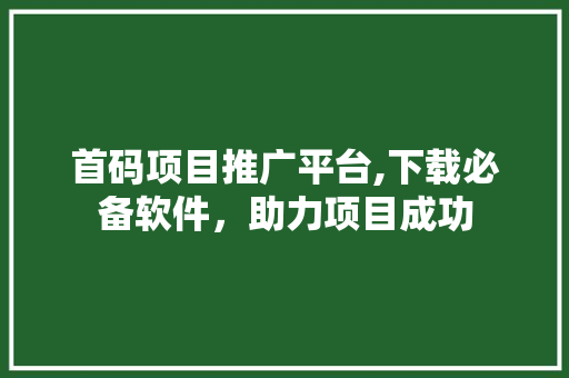 首码项目推广平台,下载必备软件，助力项目成功 百度SEO