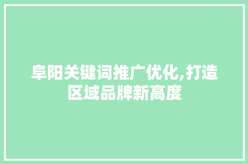 阜阳关键词推广优化,打造区域品牌新高度 必应SEO