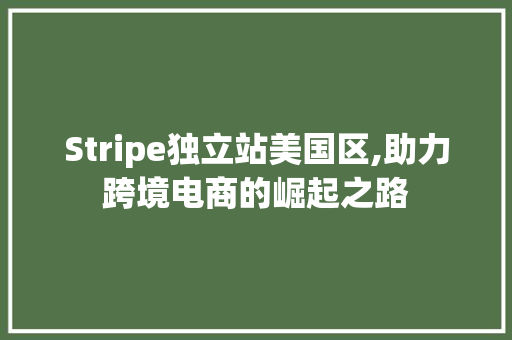 Stripe独立站美国区,助力跨境电商的崛起之路 百度SEO