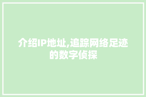 介绍IP地址,追踪网络足迹的数字侦探