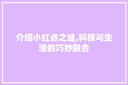 介绍小红点之谜,科技与生活的巧妙融合 必应SEO