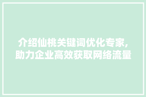 介绍仙桃关键词优化专家,助力企业高效获取网络流量 神马SEO