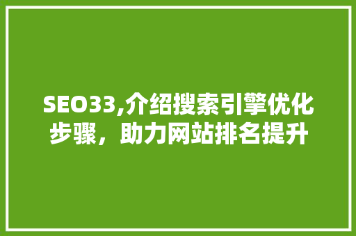 SEO33,介绍搜索引擎优化步骤，助力网站排名提升 必应SEO