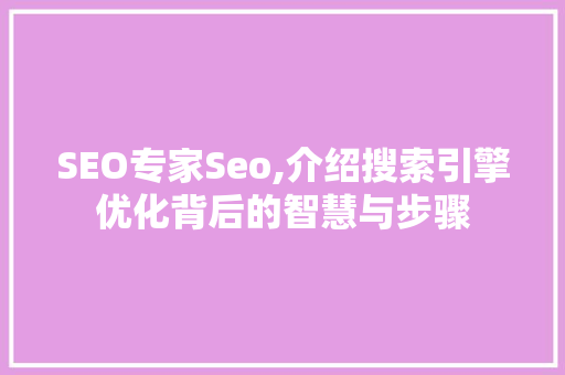 SEO专家Seo,介绍搜索引擎优化背后的智慧与步骤 SEO关键词