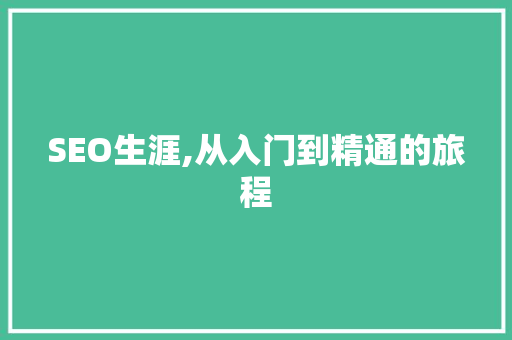 SEO生涯,从入门到精通的旅程 搜狗SEO