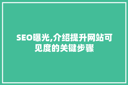 SEO曝光,介绍提升网站可见度的关键步骤 神马SEO