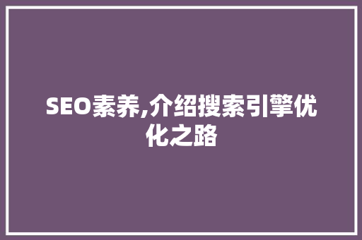 SEO素养,介绍搜索引擎优化之路