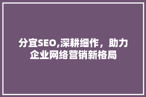 分宜SEO,深耕细作，助力企业网络营销新格局