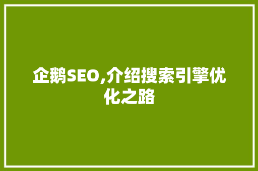 企鹅SEO,介绍搜索引擎优化之路
