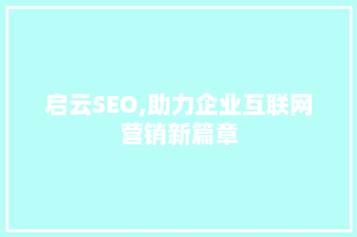 启云SEO,助力企业互联网营销新篇章