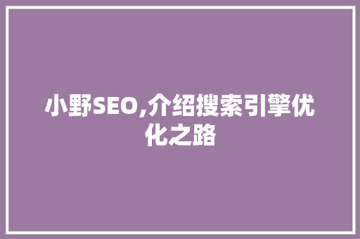 小野SEO,介绍搜索引擎优化之路 必应SEO