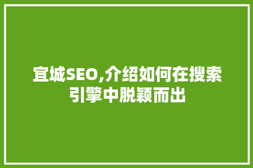 宜城SEO,介绍如何在搜索引擎中脱颖而出 SEO关键词