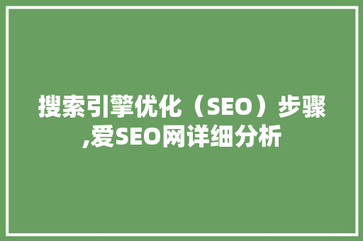 搜索引擎优化（SEO）步骤,爱SEO网详细分析