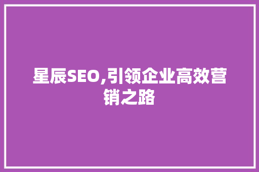 星辰SEO,引领企业高效营销之路