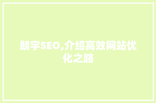 朗宇SEO,介绍高效网站优化之路 神马SEO