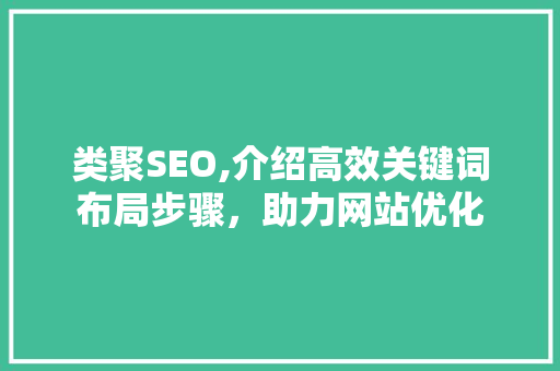 类聚SEO,介绍高效关键词布局步骤，助力网站优化 必应SEO