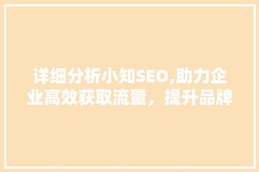 详细分析小知SEO,助力企业高效获取流量，提升品牌知名度 网站建设公司