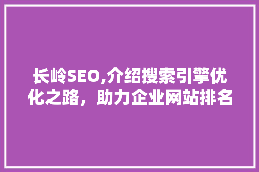 长岭SEO,介绍搜索引擎优化之路，助力企业网站排名提升 网站建设公司