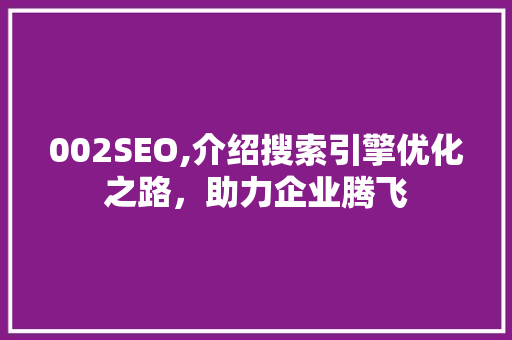 002SEO,介绍搜索引擎优化之路，助力企业腾飞 必应SEO