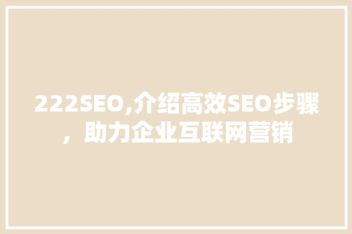 222SEO,介绍高效SEO步骤，助力企业互联网营销 百度SEO