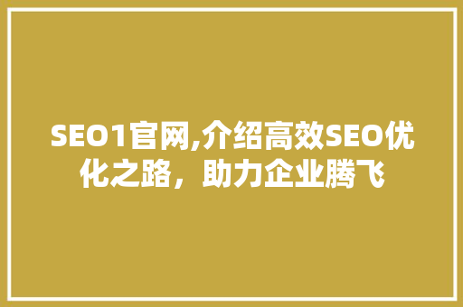 SEO1官网,介绍高效SEO优化之路，助力企业腾飞 SEO关键词