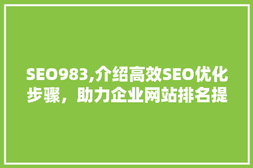 SEO983,介绍高效SEO优化步骤，助力企业网站排名提升 必应SEO
