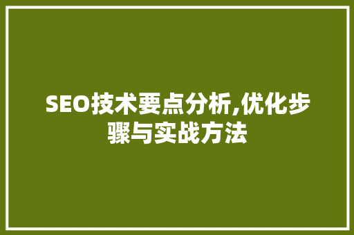 SEO技术要点分析,优化步骤与实战方法 神马SEO