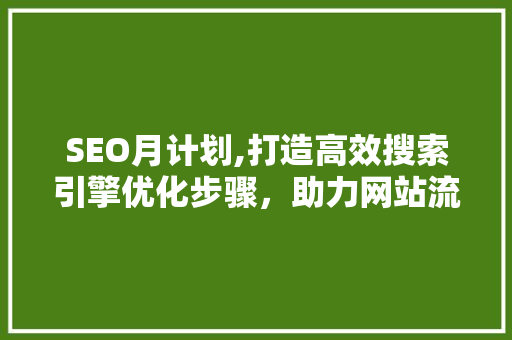 SEO月计划,打造高效搜索引擎优化步骤，助力网站流量提升 百度SEO