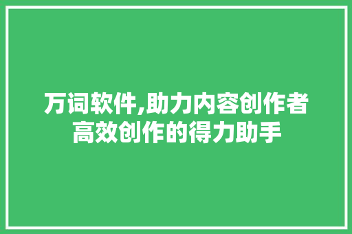 万词软件,助力内容创作者高效创作的得力助手 百度SEO