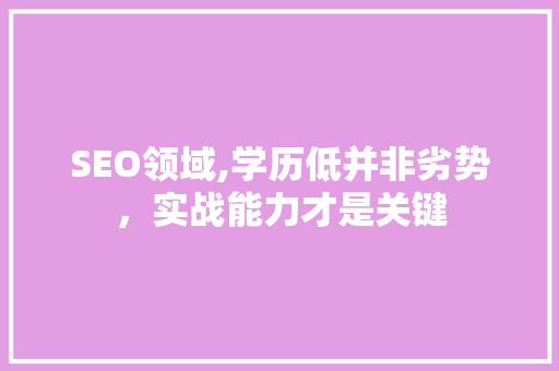 SEO领域,学历低并非劣势，实战能力才是关键 网站建设公司