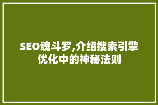 SEO魂斗罗,介绍搜索引擎优化中的神秘法则 SEO关键词