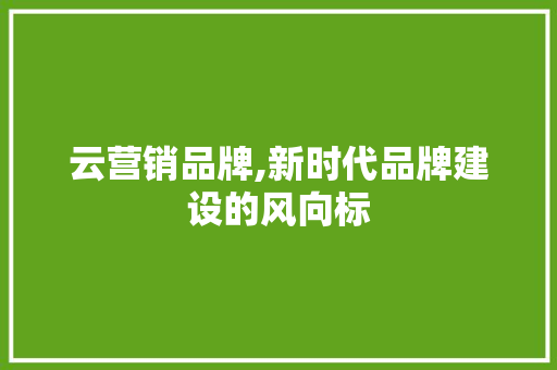 云营销品牌,新时代品牌建设的风向标