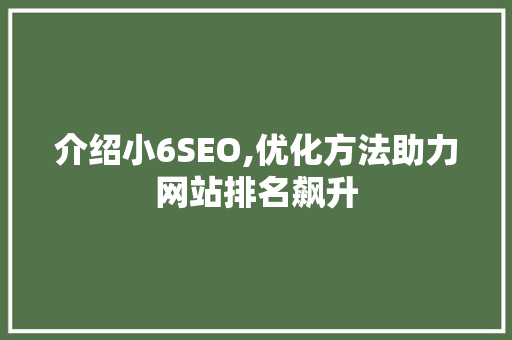 介绍小6SEO,优化方法助力网站排名飙升 网站建设公司