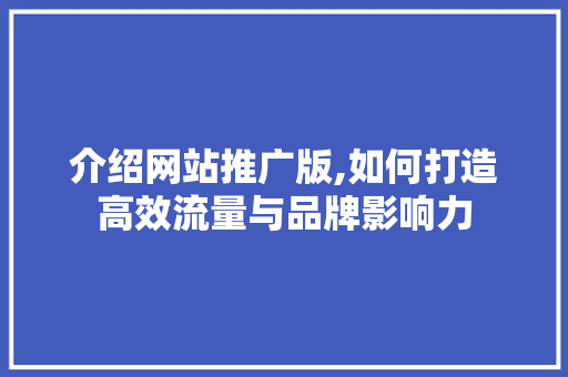介绍网站推广版,如何打造高效流量与品牌影响力 网站建设公司