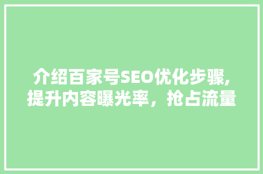 介绍百家号SEO优化步骤,提升内容曝光率，抢占流量高地 网站建设公司