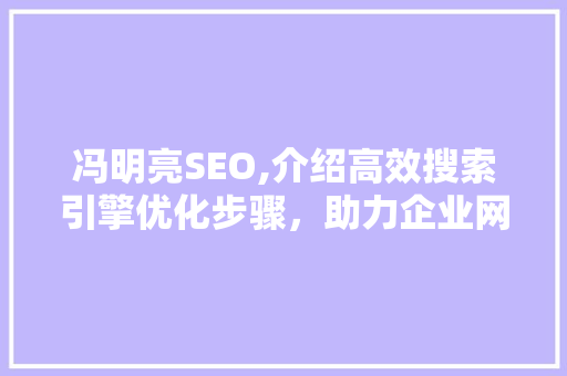 冯明亮SEO,介绍高效搜索引擎优化步骤，助力企业网站腾飞 网站建设公司
