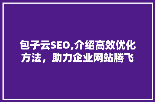 包子云SEO,介绍高效优化方法，助力企业网站腾飞 神马SEO