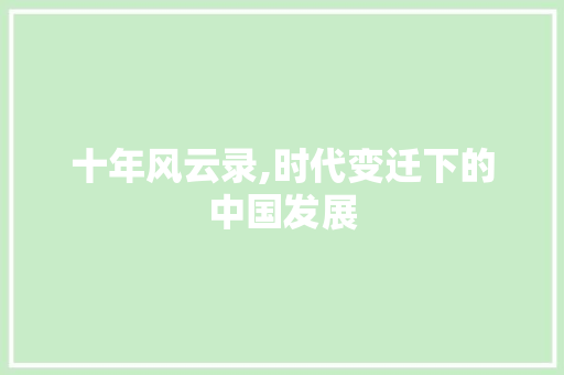 十年风云录,时代变迁下的中国发展