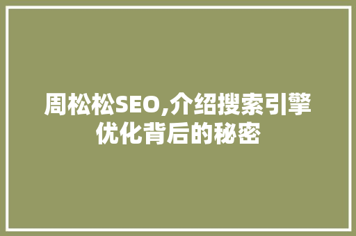 周松松SEO,介绍搜索引擎优化背后的秘密