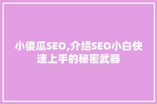 小傻瓜SEO,介绍SEO小白快速上手的秘密武器
